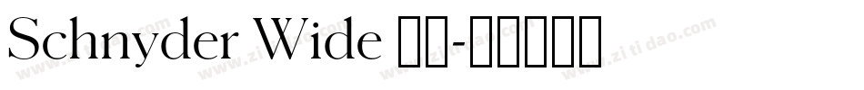 Schnyder Wide 字体字体转换